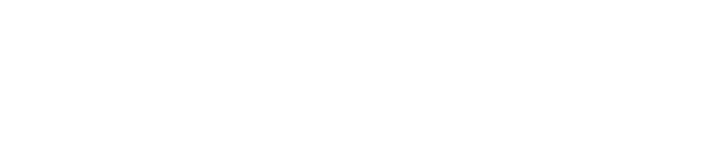 New World Festival